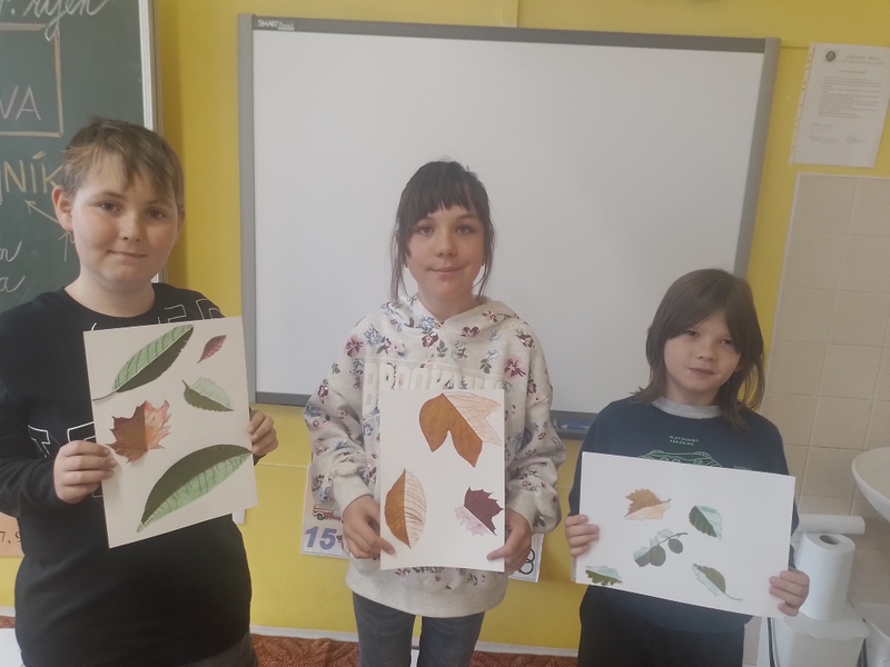 26-20251014_113057(0)